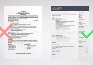 11 Years It Professional Resume Sample the 3 Best Resume formats to Use In 2022 (examples)