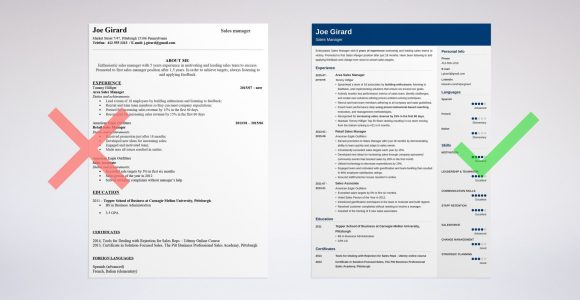 2023 Info Tech Sales Resume Samples Sales Manager Resume Examples [templates & Key Skills]