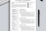 2023 Sample Digital Account Executive Resumes 2022-2023 Pre-formatted Resume Template with Resume Icons, Fonts …