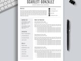 2023 Sample Digital Account Executive Resumes 2022-2023 Pre-formatted Resume Template with Resume Icons, Fonts …