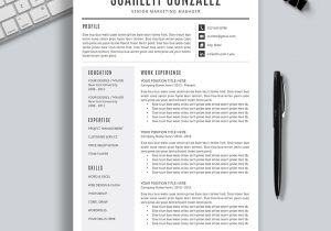 2023 Sample Digital Account Executive Resumes 2022-2023 Pre-formatted Resume Template with Resume Icons, Fonts …