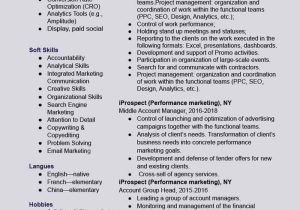 2023 Sample Digital Account Executive Resumes 5 Digital Marketing Resume Examples â Plerdy