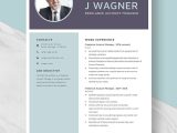 2023 Sample Digital Account Executive Resumes Freelance Account Manager Resume Template – Word, Apple Pages …