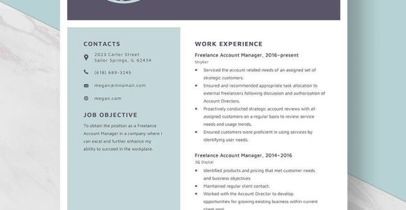2023 Sample Digital Account Executive Resumes Freelance Account Manager Resume Template – Word, Apple Pages …
