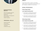 2023 Sample Digital Account Executive Resumes Page 9 – Free Custom Printable Corporate Resume Templates Canva