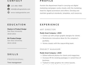 2023 Sample Resume for English Professor Free, Printable, Customizable Creative Resume Templates Canva