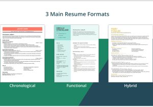 40 Elementary Teacher Resume Samples Jobherojobhero Resume formats: which One to Choose?   Examples (2022)