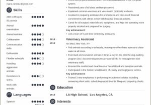 40 Veterinary assistant Resume Samples Jobherojobhero 10lancarrezekiq Senior Recruiter Resume Samples Jobherojobhero – Resume …