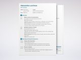 Academic Resume Template for Grad School Resume for Graduate School Application [template & Examples]