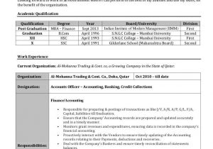 Accounting Resume Samples 2018 In India Accountant Resume Sample India Bank Of Resume