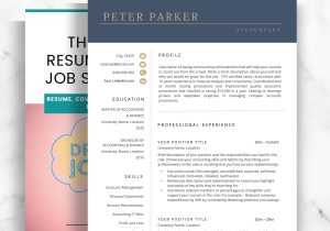 Accounting Resume Samples 2023 In India Accountant Resume – Etsy