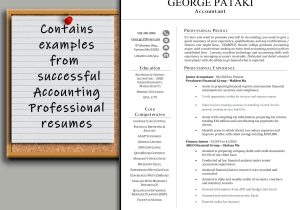 Accounting Resume Samples 2023 In India Accountant Resume – Etsy Uk