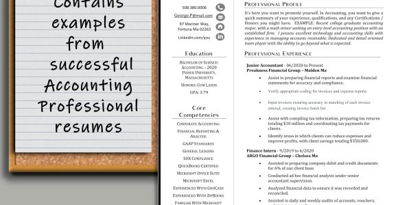 Accounting Resume Samples 2023 In India Accountant Resume – Etsy Uk