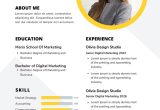 Accounting Resume Samples 2023 In India Free Custom Printable Acting Resume Templates Canva