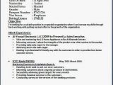 Activities and Interests On Resume Sample Page Not Found the Perfect Dress