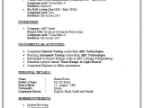 Activities and Interests On Resume Sample Resume Examples Activities and Interests Application