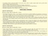 Adjunct Professor Resume Samples with No Experience Adjunct Professor Resume Samples & Templates [pdf Doc