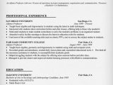 Adjunct Professor Resume Samples with No Experience Resume Example for Adjunct Professor Resume Panion