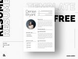 Adobe Illustrator Resume Template Free Download Free Simple Illustrator Resume Template by Julian Ma On Dribbble