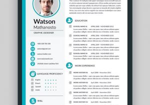 Adobe Indesign Resume Template Free Download 45 Beste Indesign Resume-vorlagen (kostenlos   Pro Cv Indd …