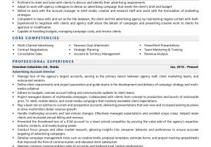 Advertising Agency Account Manager Resume Sample Account Director (advertising) Resume Examples & Template (with …