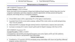 Advertising Agency Account Manager Resume Sample Sample Resume for An Advertising Account Executive Monster.com