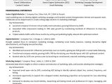 Advertising and Marketing Resume Samples Entry Level Digital Marketing Resume Monster.com