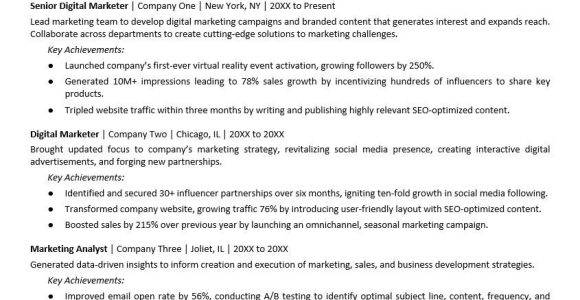 Advertising and Marketing Resume Samples Entry Level Digital Marketing Resume Monster.com