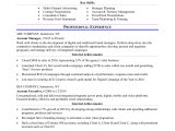 Advertising and Marketing Resume Samples Entry Level Sample Resume for An Advertising Account Executive Monster.com