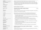 After School Group Leader Sample Resume Full Guide: Production Team Leader Resume 12 Examples