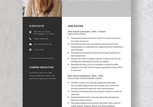 After School Program Coordinator Resume Sample after School Coordinator Resume Template – Word, Apple Pages …