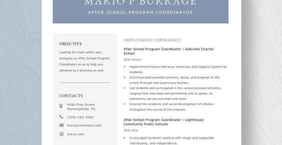 After School Program Coordinator Resume Sample after School Program Coordinator Resume Template – Word, Apple …