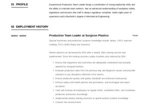 After School Program Leader Resume Sample Full Guide: Production Team Leader Resume 12 Examples