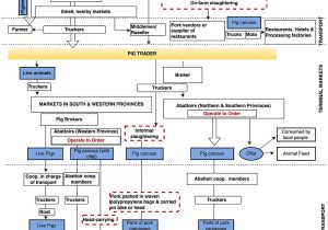 Agriculture Resume Sample In Swine Husbandry and Production Frontiers Using A Value Chain Approach to Map the Pig Production …
