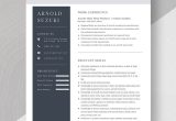 Aircraft Sheet Metal Mechanic Resume Sample Aircraft Sheet Metal Mechanic Resume Template – Word, Apple Pages …
