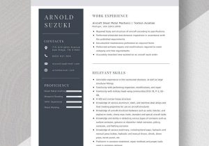 Aircraft Sheet Metal Mechanic Resume Sample Aircraft Sheet Metal Mechanic Resume Template – Word, Apple Pages …