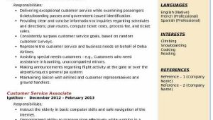 Airline Customer Service Agent Resume Sample Resume Airline Customer Service Agent Airport Customer