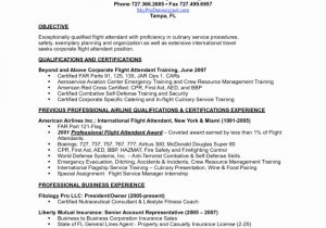 Airline Customer Service Representative Resume Sample √ 20 Airline Customer Service Resume