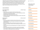 Airline Flight attendant Jobs Sample Resume Flight attendant Resume Samples and Templates