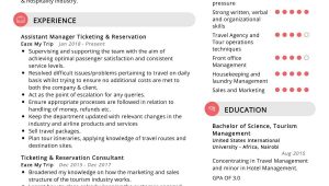 Airline Reservation Agent Resume Summary Sample Ticketing Reservation Resume Sample 2022 Writing Tips – Resumekraft