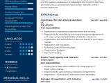Airline Reservation Agent Resume Summary Sample Travel Agent Resume Template 2022 Writing Tips – Resumekraft