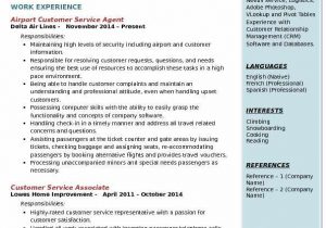 Airport Customer Service Agent Resume Sample Airport Customer Service Agent Resume Samples