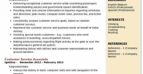 Airport Customer Service Agent Resume Sample Airport Customer Service Agent Resume Samples