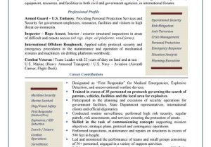 Airport Security Related Customer Service Resume Samples Global Security Professional Resume