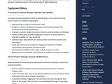 Amazon Market Place Seller Resume Samples Amazon Product Manager Resume & Guide 17 Examples 2022