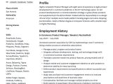 Amazon Market Place Seller Resume Samples Amazon Product Manager Resume & Guide 17 Examples 2022