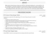 Amazon Private Label Brands Seller Resume Samples Amazon Product Manager Resume & Guide 17 Examples 2022