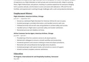 American Airlines Flight attendant Entry Resume Sample Flight attendant Resume Examples & Writing Tips 2022 (free Guide)