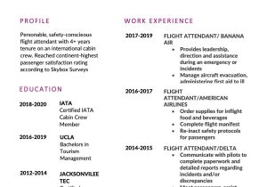 American Airlines Flight attendant Resume Sample Flight attendant Resume & Guide  22 Templates 2022