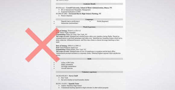 American Airlines Flight attendant Resume Sample Flight attendant Resume Sample [lancarrezekiqalso with No Experience]